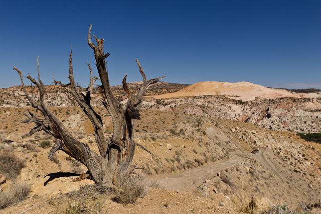 032 Cottonwood Canyon Road, Yellow Rock.jpg